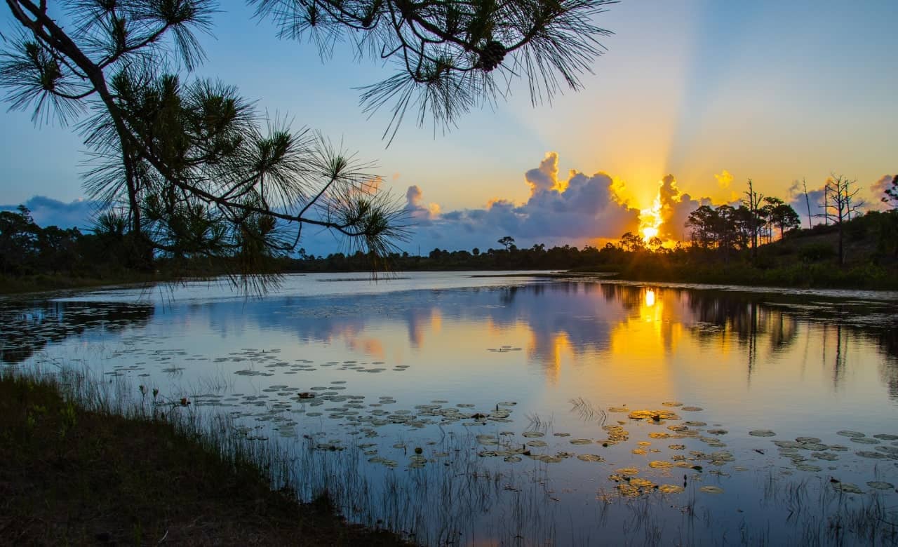 RV Camping in Jonathan Dickinson State Park