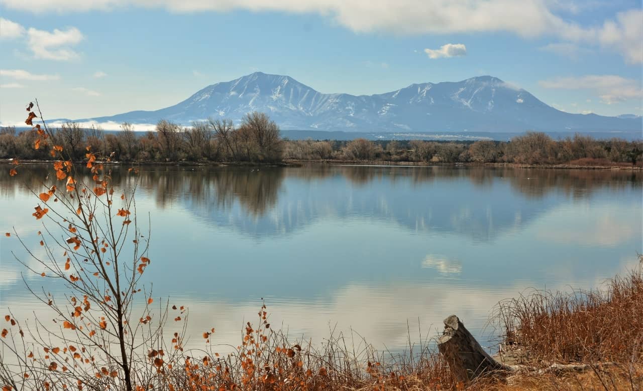Lathrop State Park Camping Guide for RV Travelers