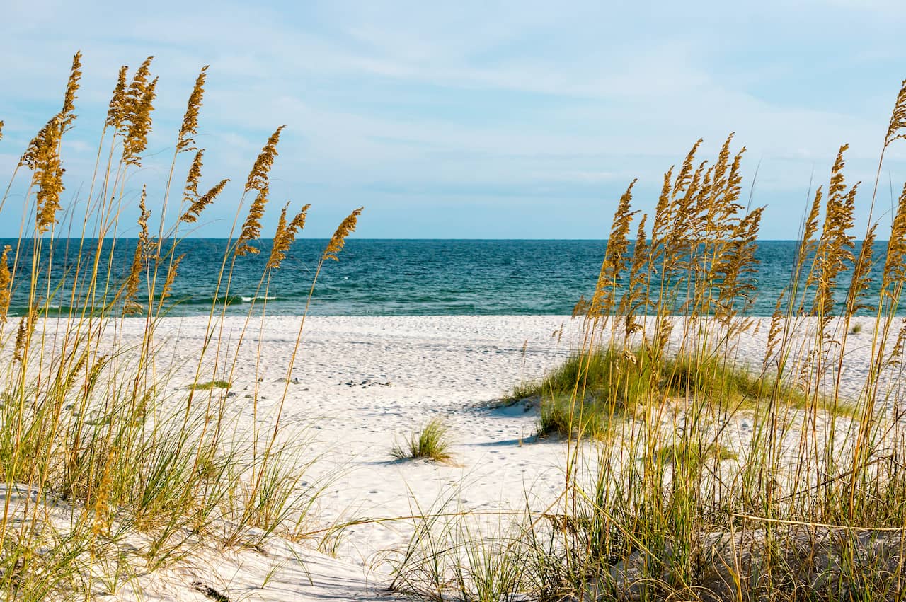Explore the Top 8 Campgrounds & RV Parks in the Southeast