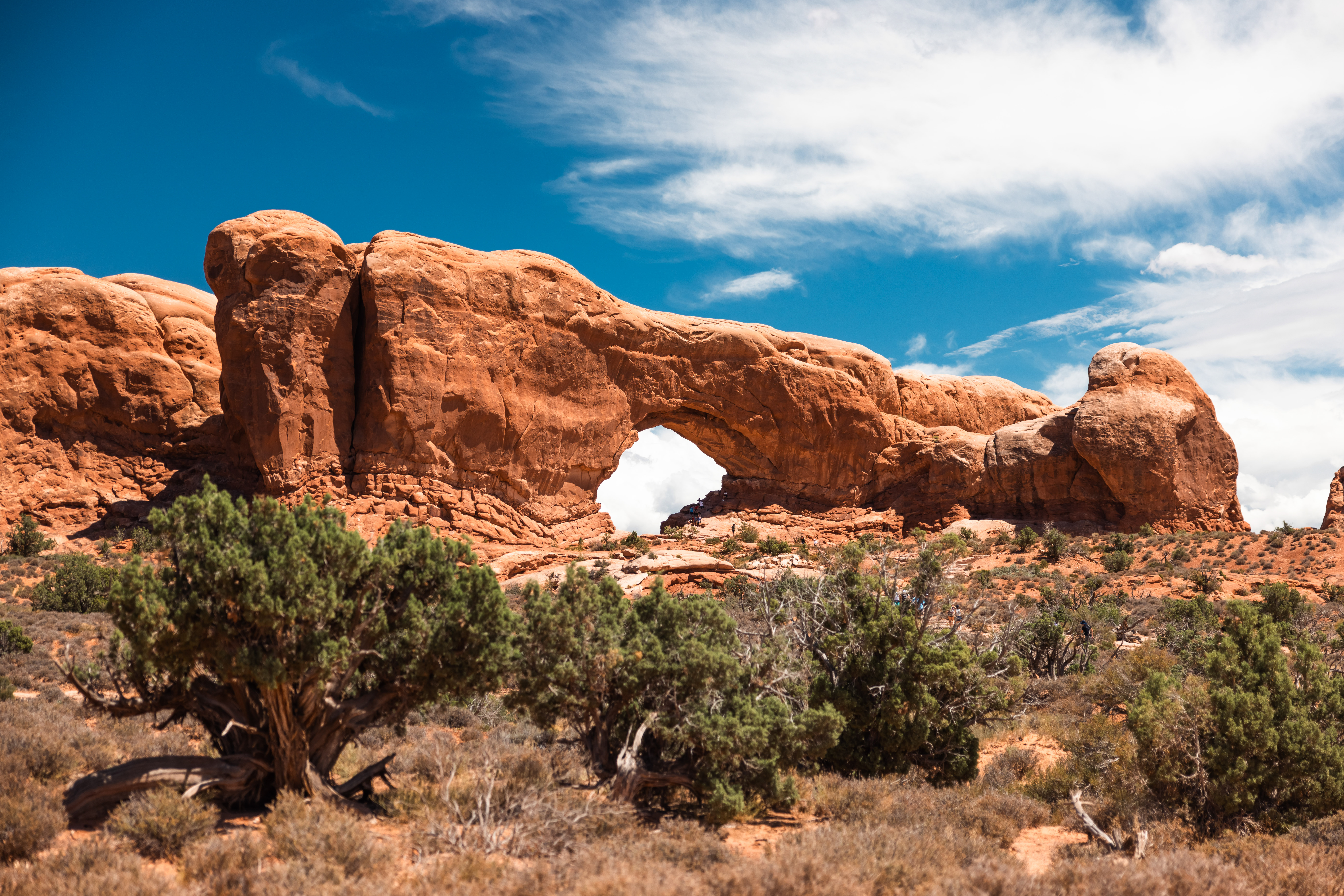 Visit The 12 Best Trails for Hiking in Utah
