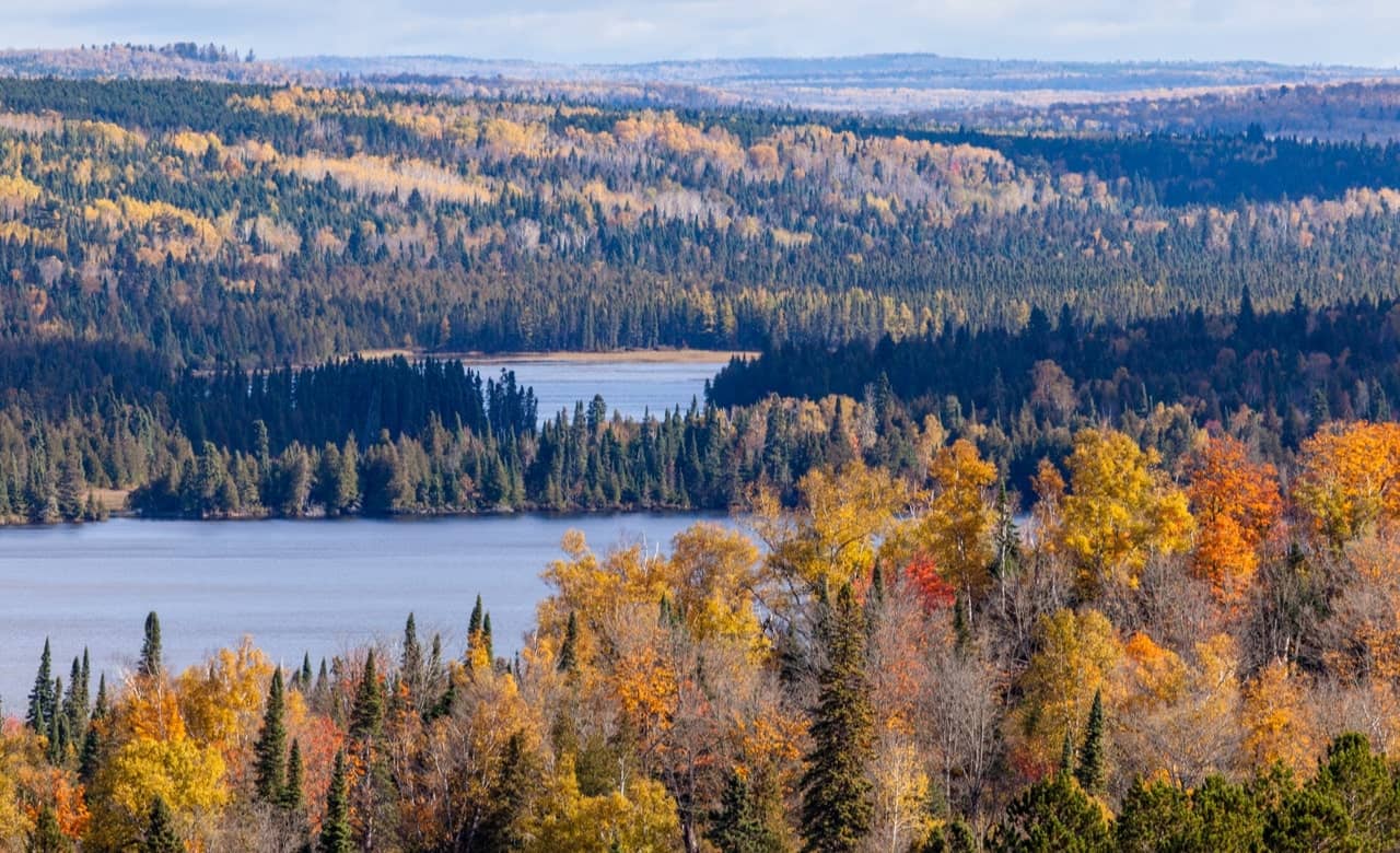 5 Boondocking Locations and Free Campsites in Minnesota