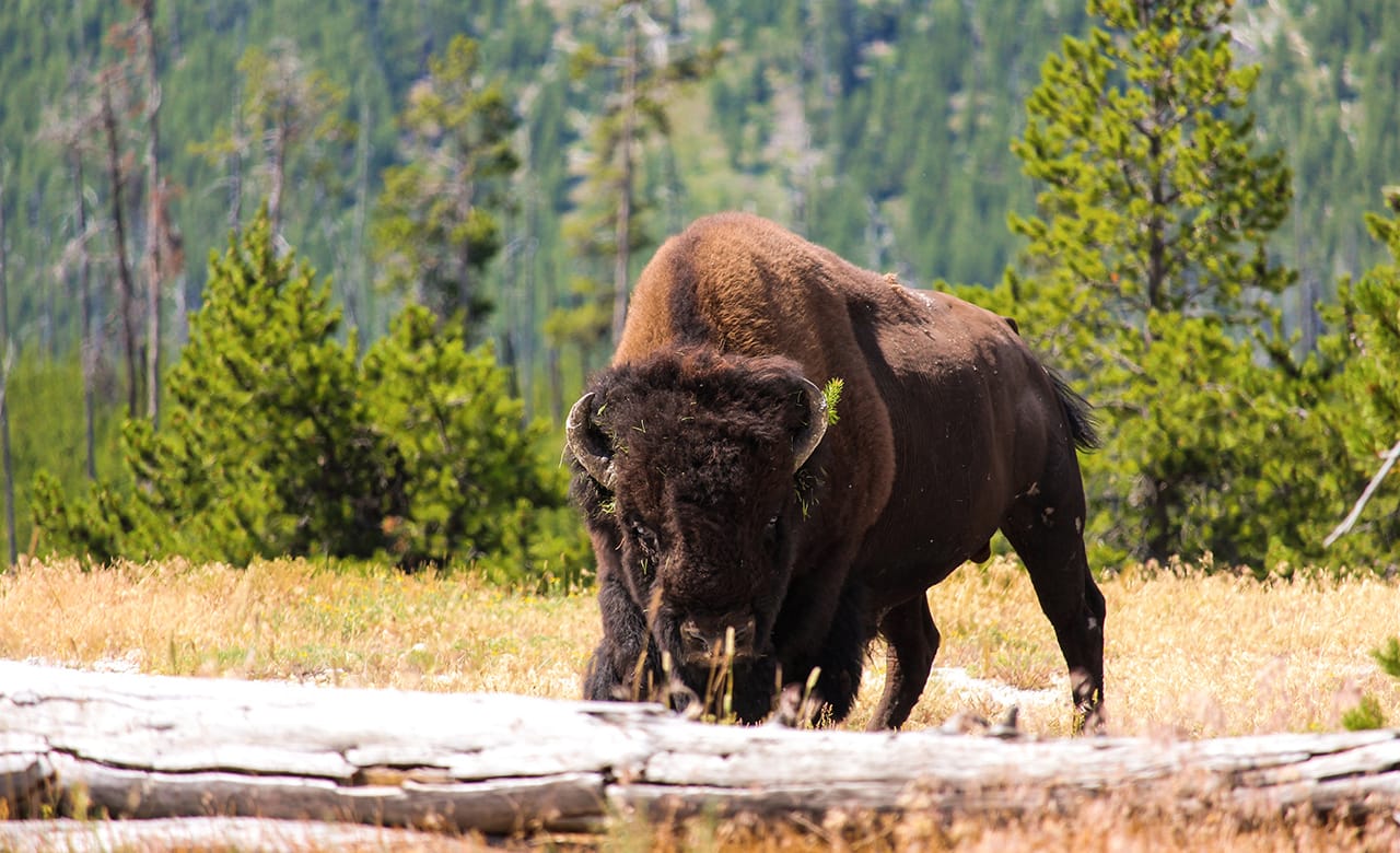 6 Must-See Colorado State Parks