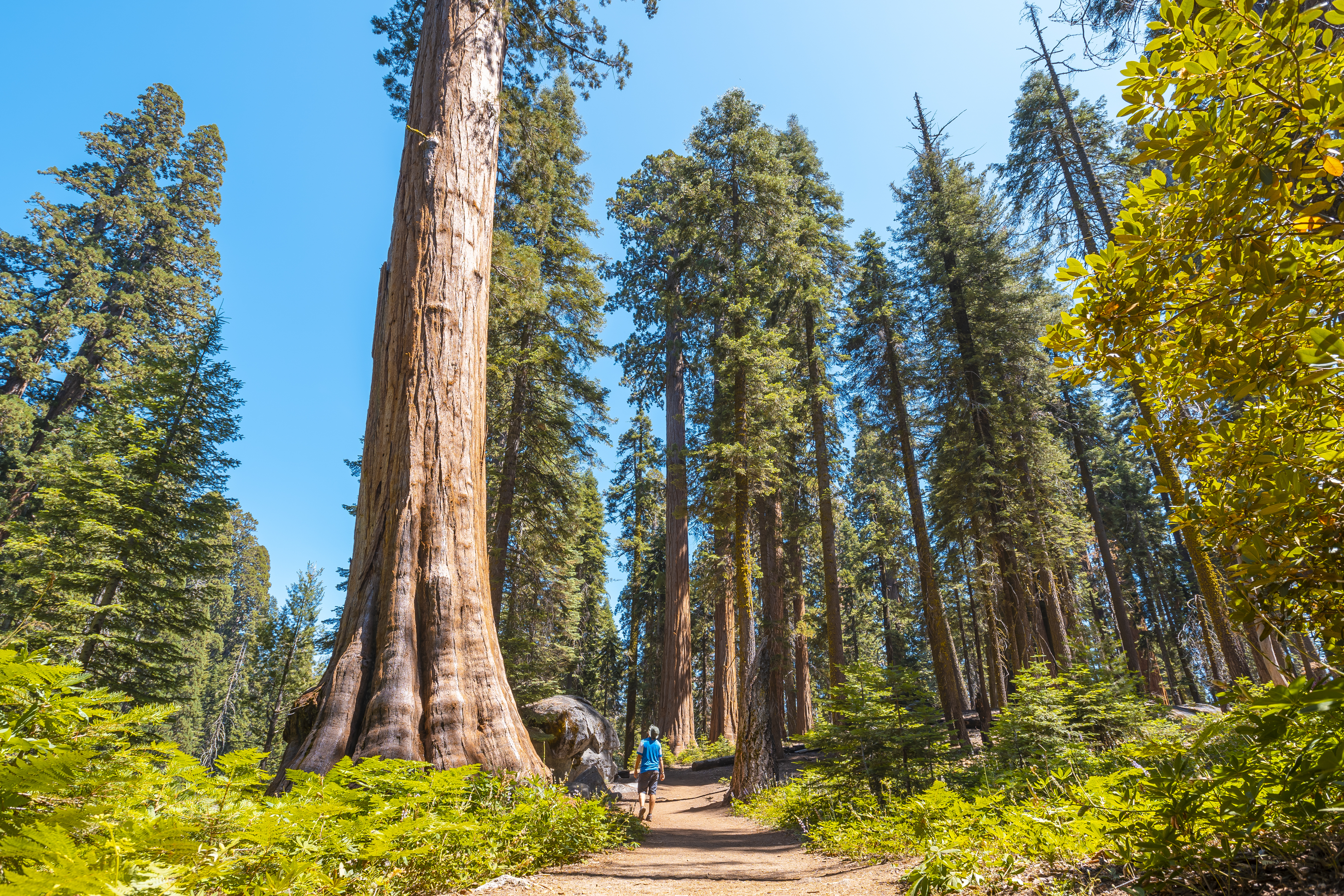 Visalia, California: Upcoming Events You Don’t Want to Miss