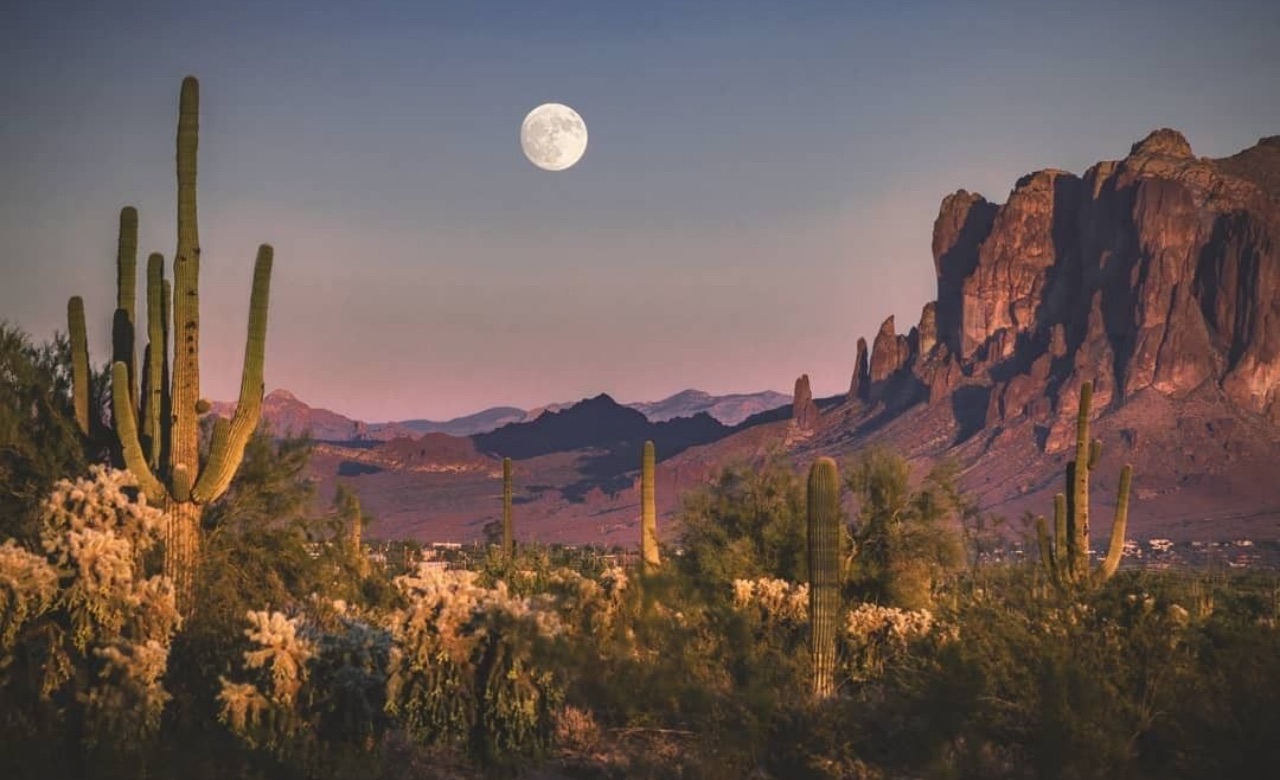 RV Camping Near Saguaro National Park