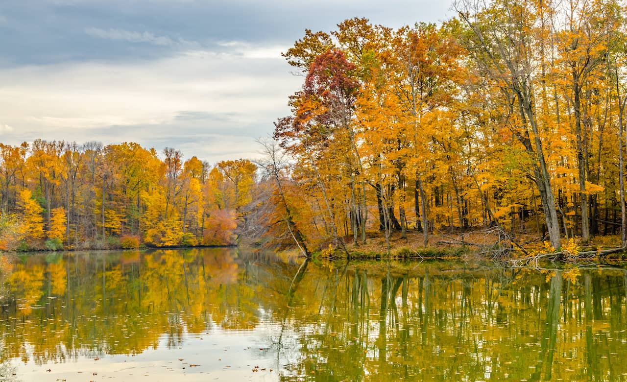 RV Camping Near Potato Creek State Park