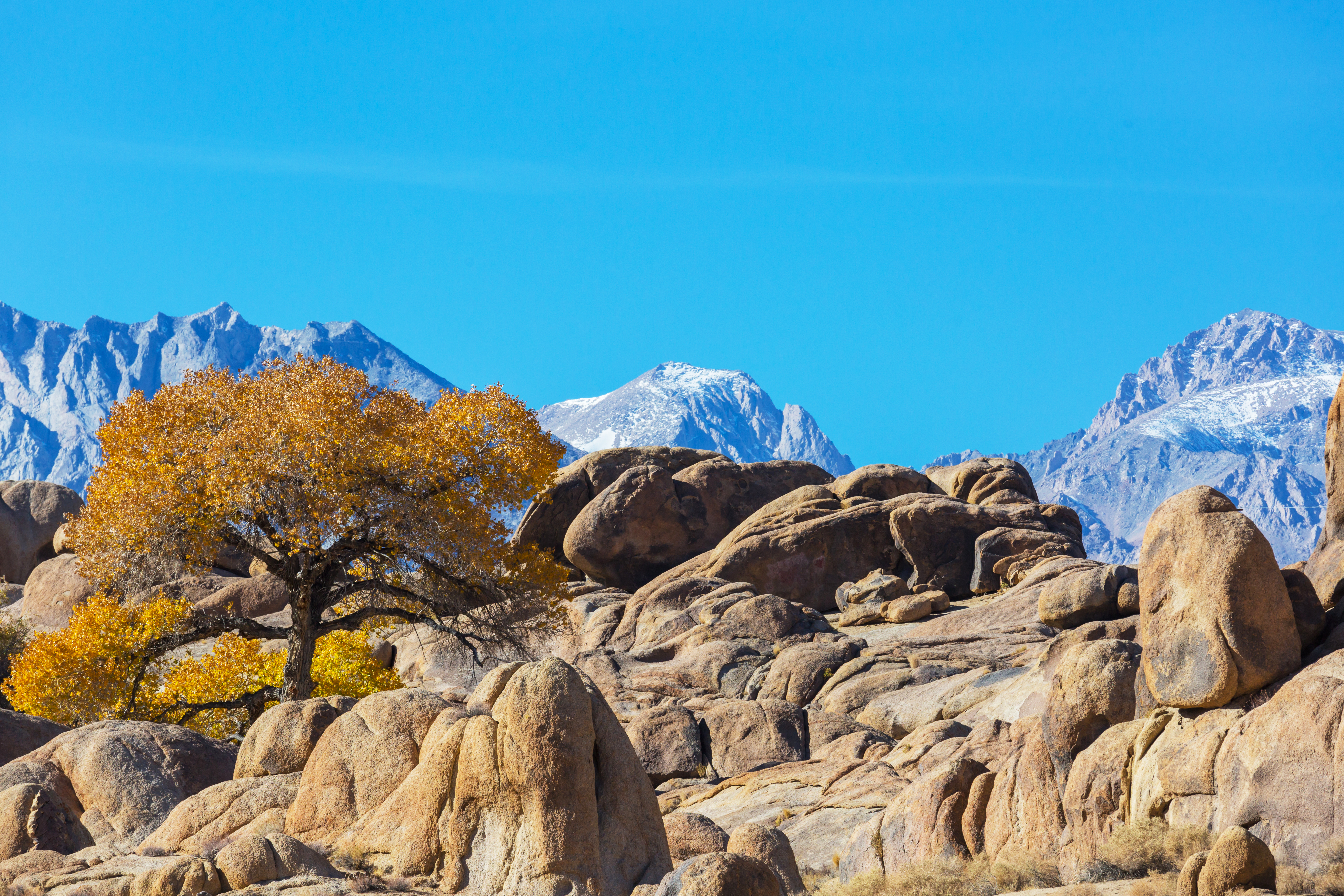  Go Alabama Hills Camping with Cruise America