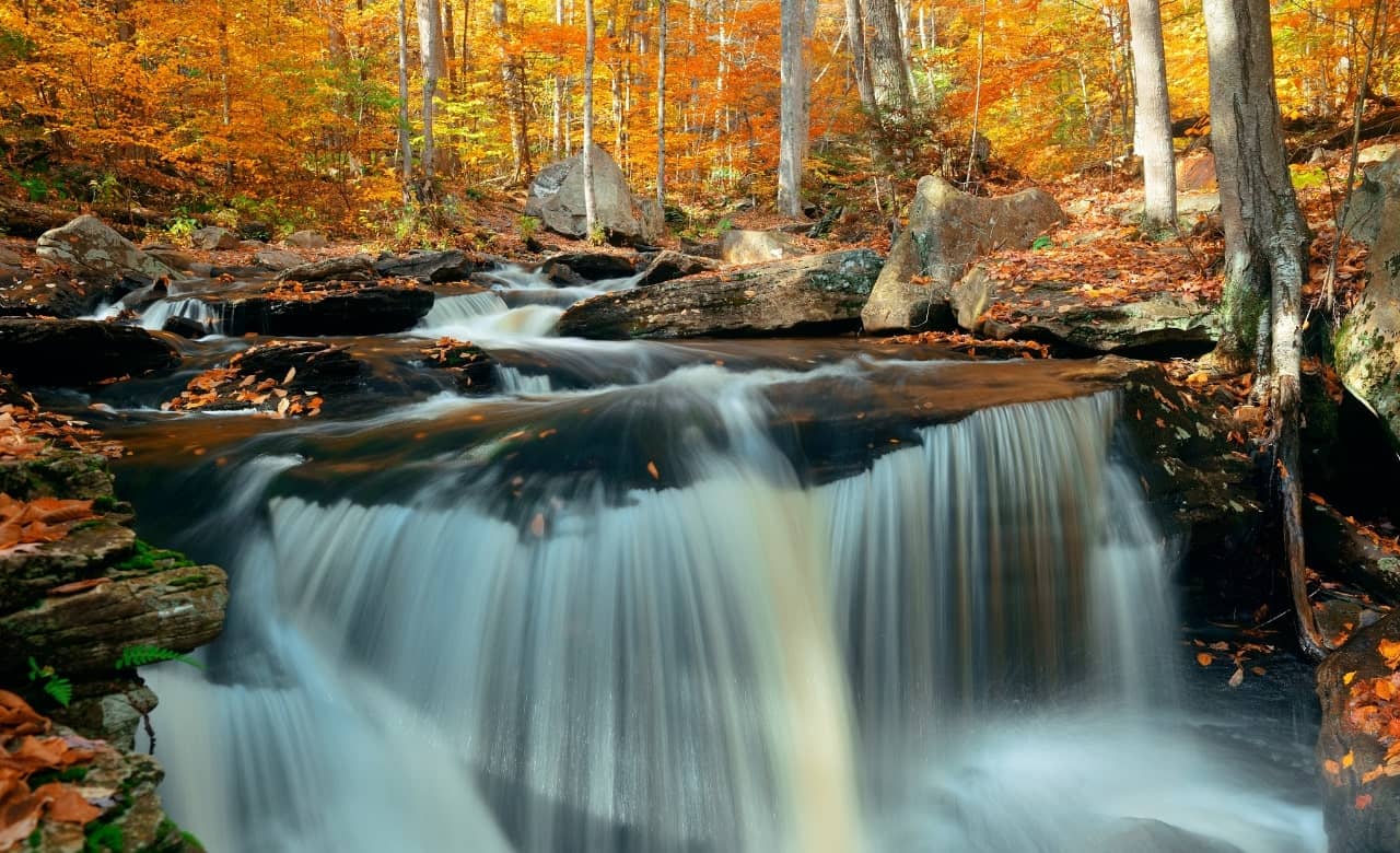 Why Fall Camping is the Best Time to Go