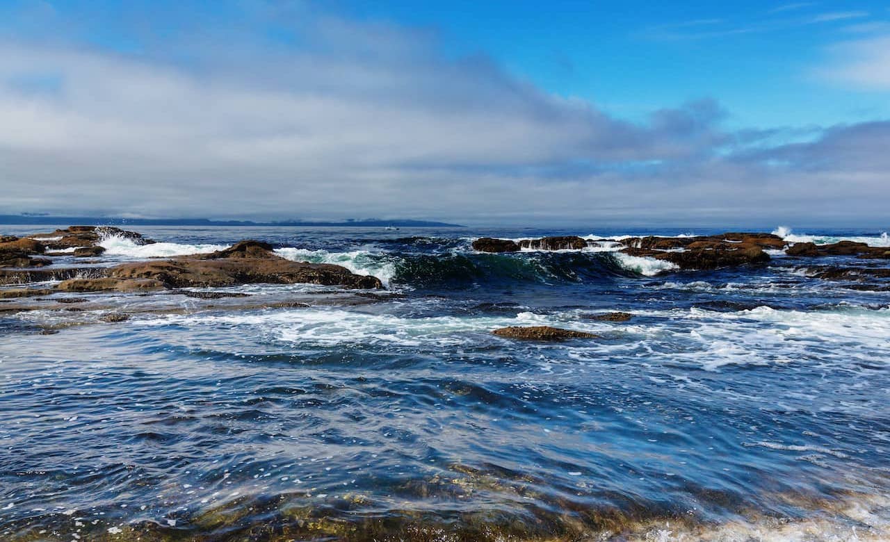 The Ultimate Vancouver Island Road Trip: Day-by-Day Guide