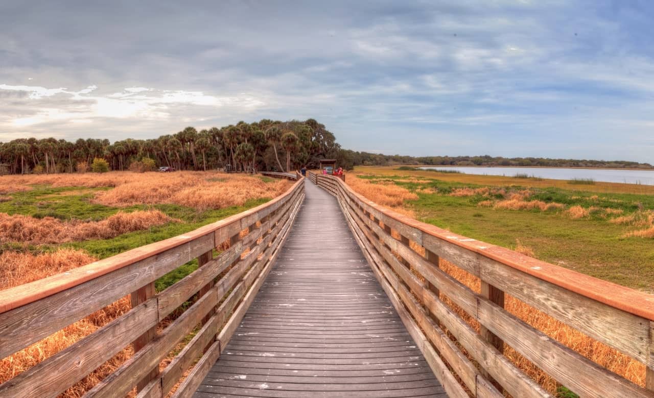 RV Camping Near Myakka River State Park