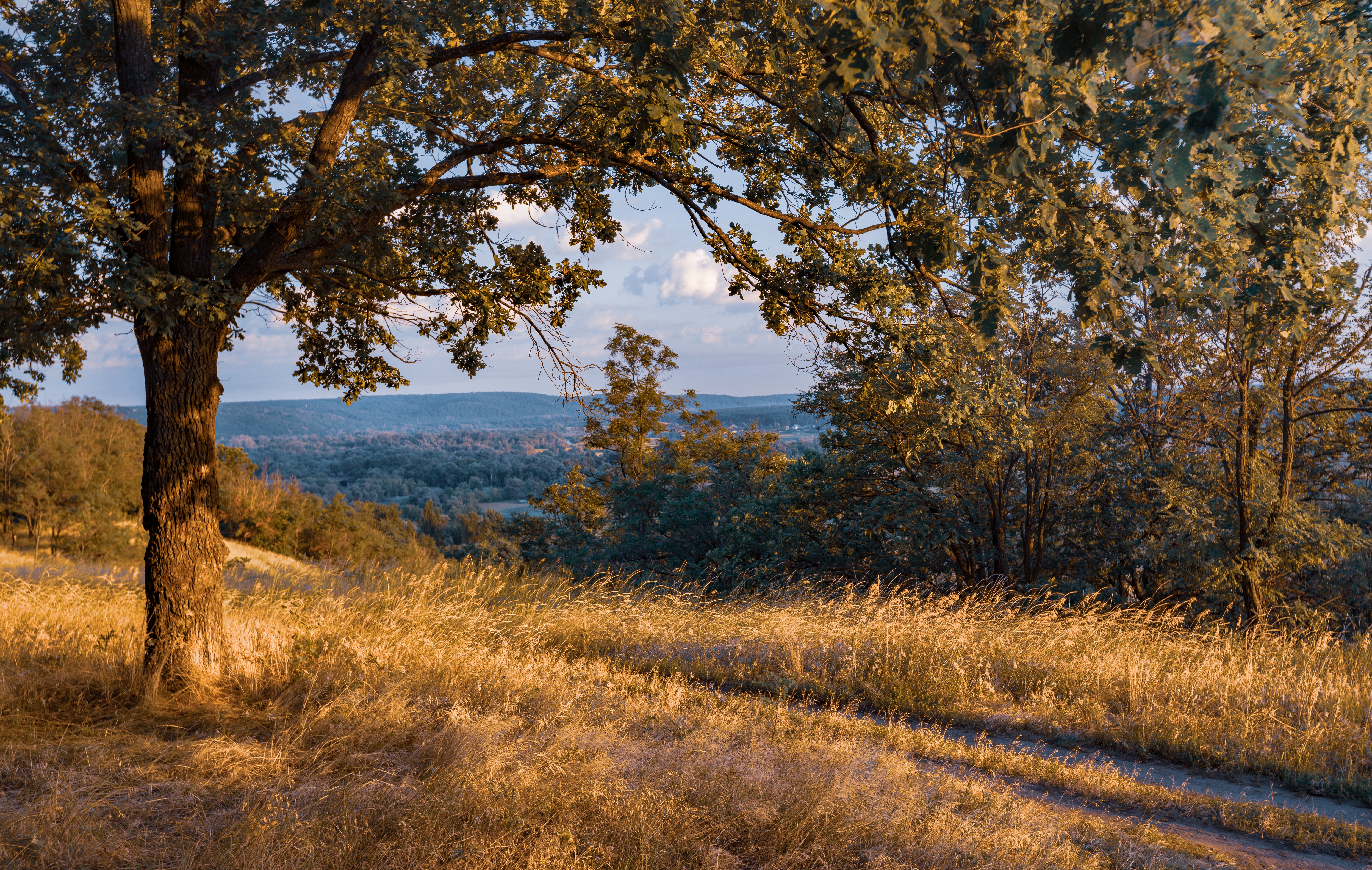 The Best Texas Hill Country RV Resorts