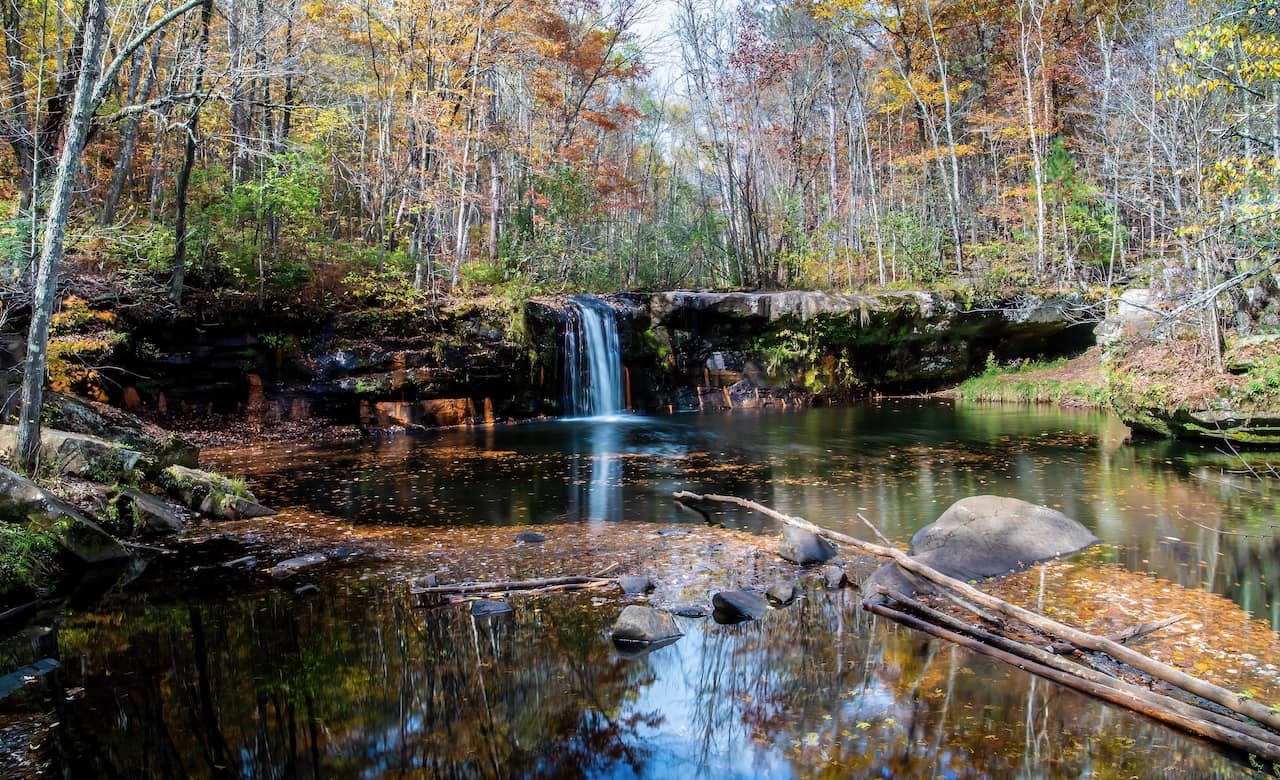 RV Camping Near Banning State Park: Tips & Things To Do