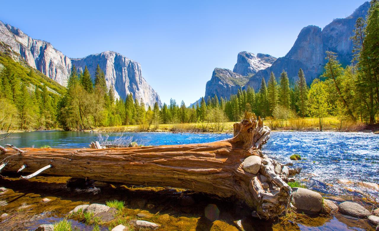 RV Camping in Sequoia National Park