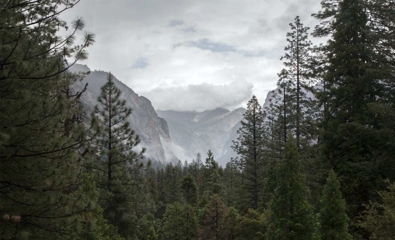 The Best National Parks to Visit in Summer