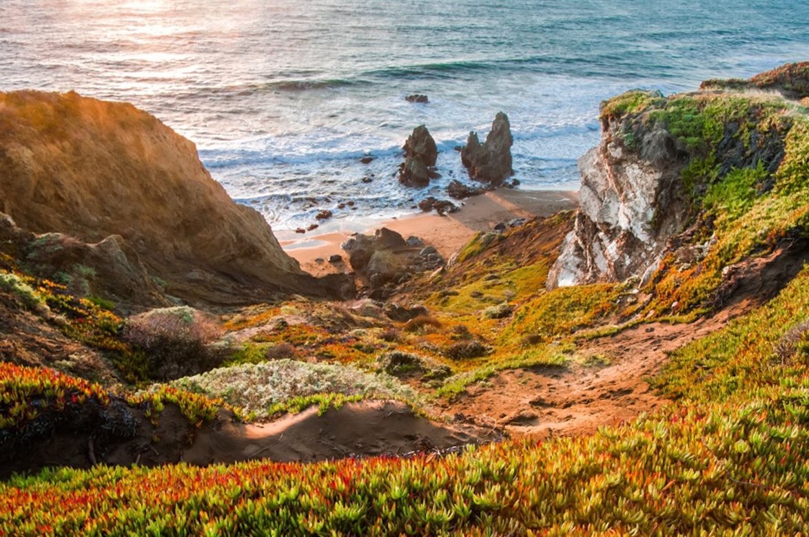 A Full Guide to California State Parks for Nature Lovers