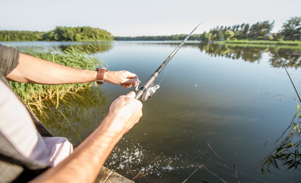 Best Bass Fishing Trips in the South