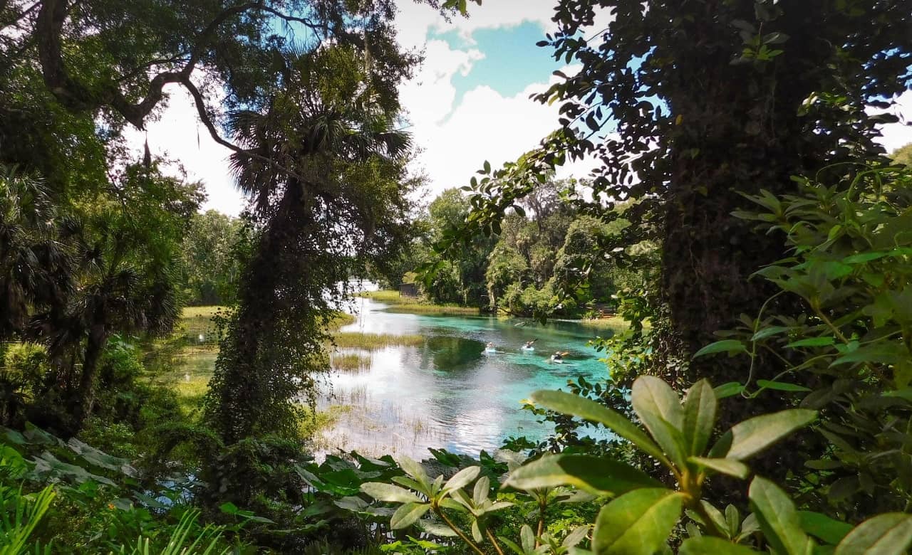 RV Camping in Rainbow Springs State Park