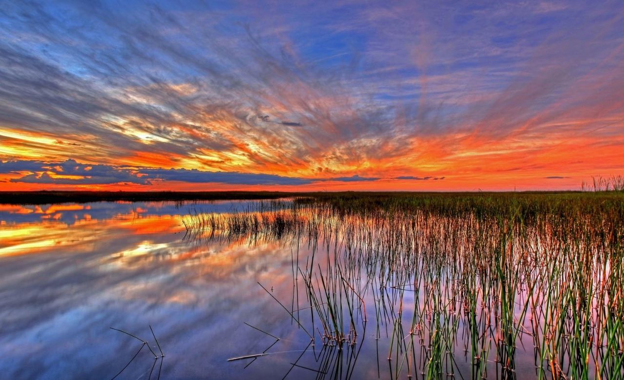 The Best Undisputed Florida Keys Road Trip