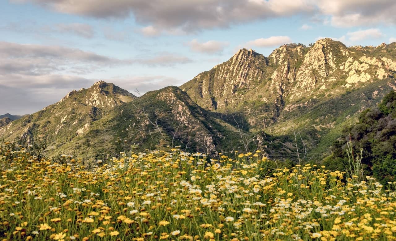 RV Camping Near Malibu Creek State Park
