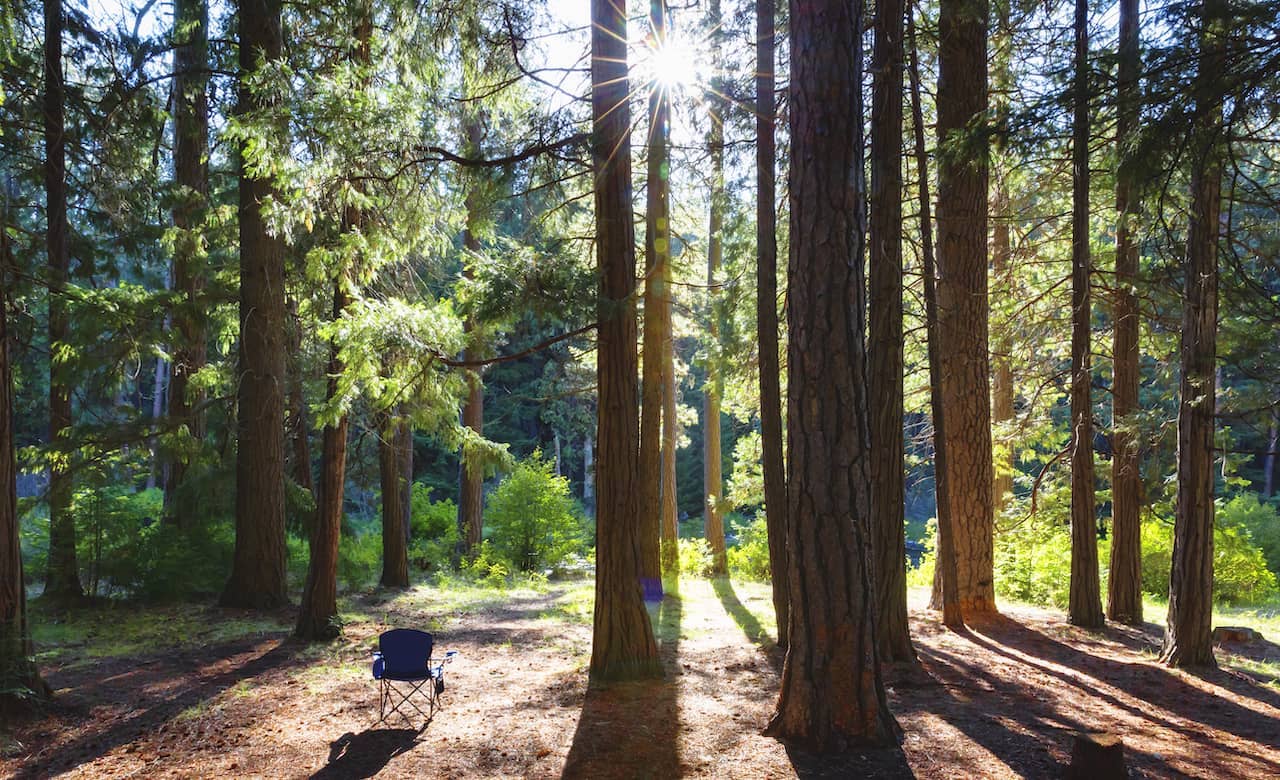 Oregon Family-Friendly Campsites That Make for Happy Campers