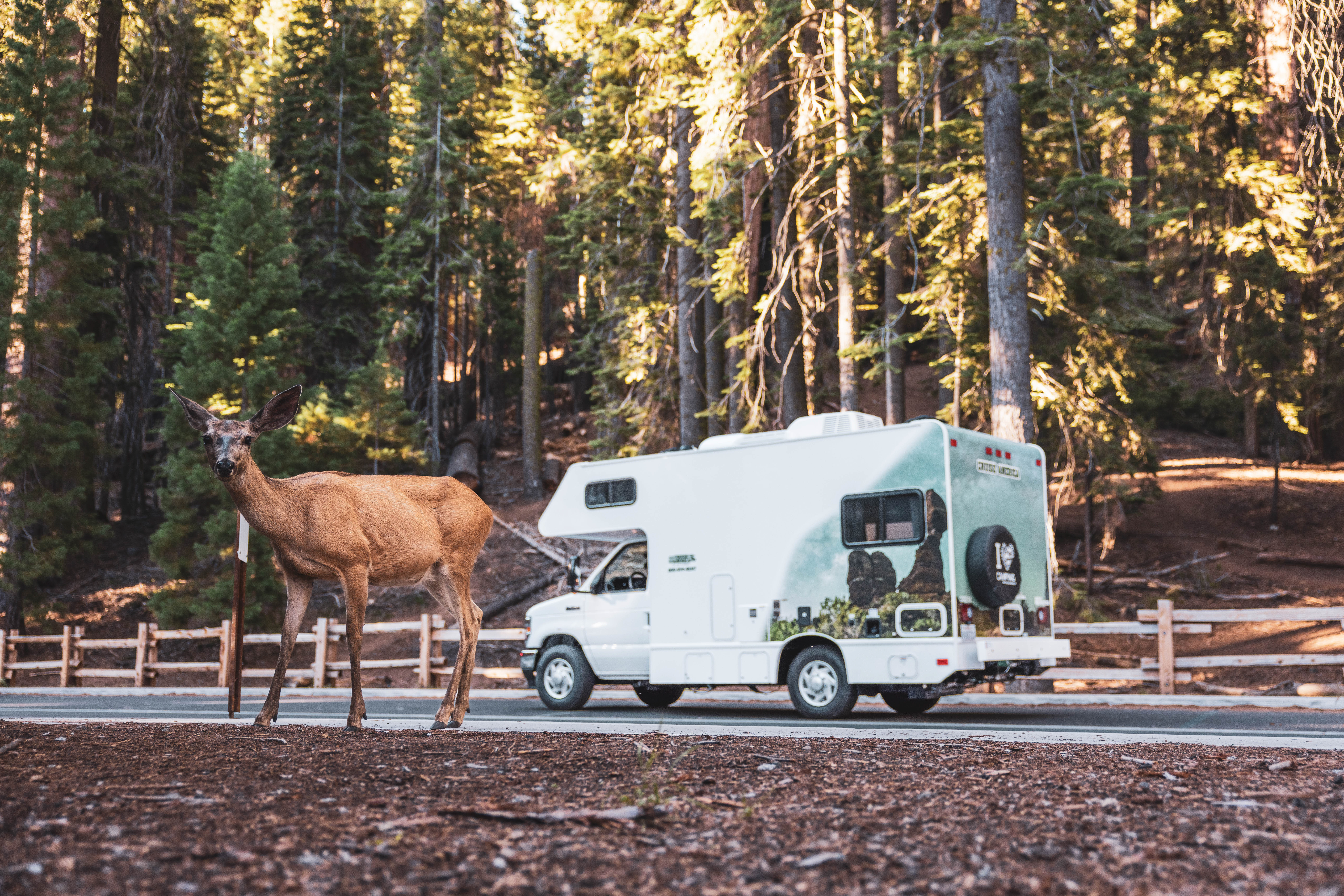 Guide to Taking a San Francisco to Las Vegas Road Trip