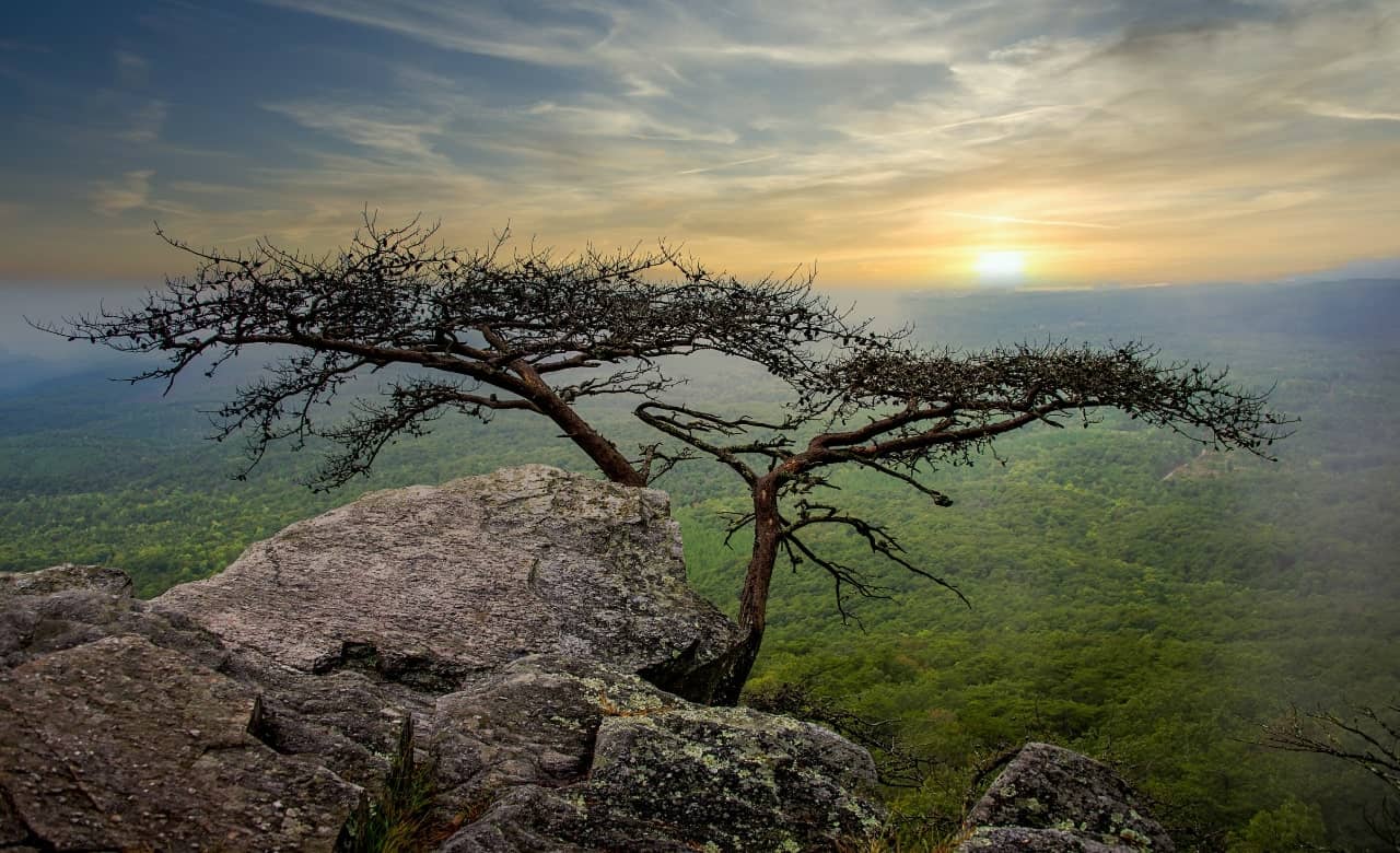 RV Camping Near Cheaha State Park