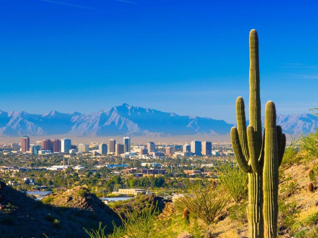 View of city of Phoenix with cactus in foreground and mountains in background.