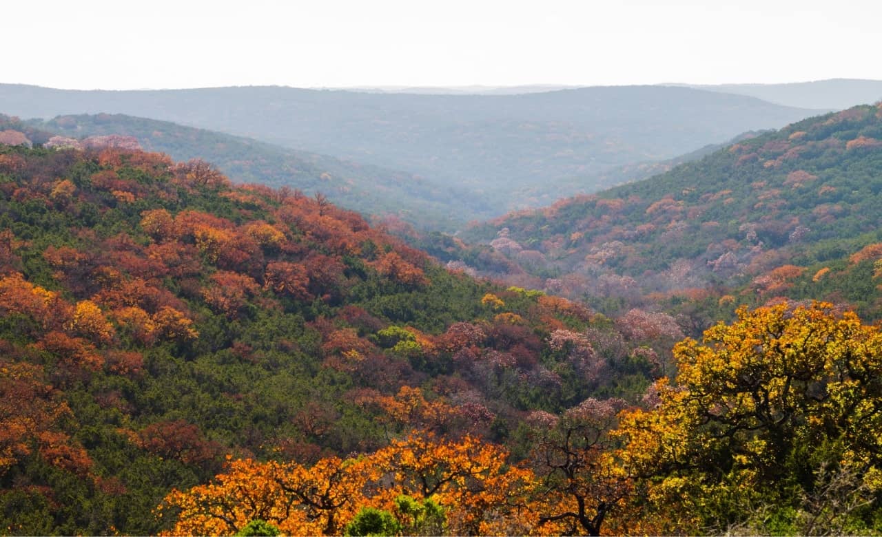 RV Camping Near Lost Maples State Park