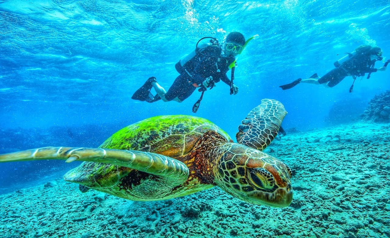 Impactful Life Lessons From Scuba Diving in the Florida Keys