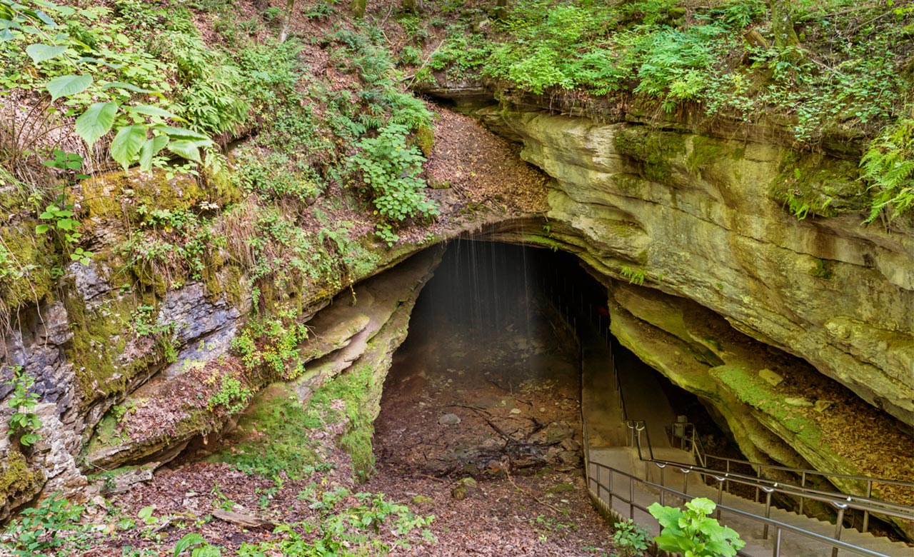 Mammoth Cave National Park