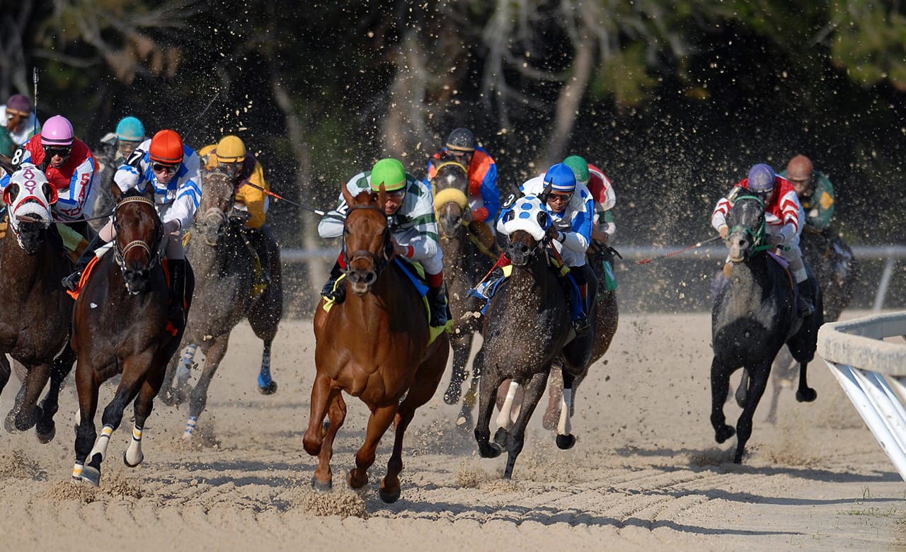 Horse Racing Trips