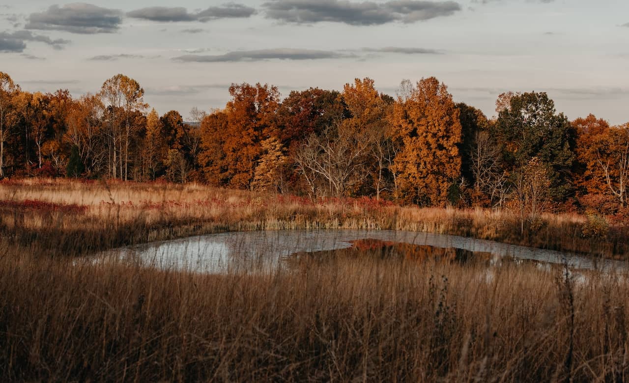 The Best State Parks in Indiana for RV Camping