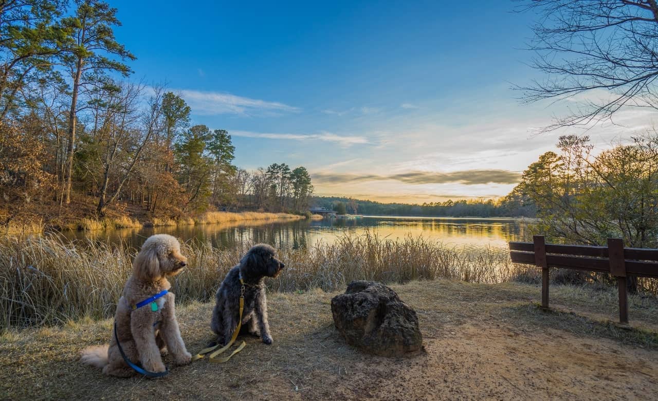 RV Camping Near Tyler State Park