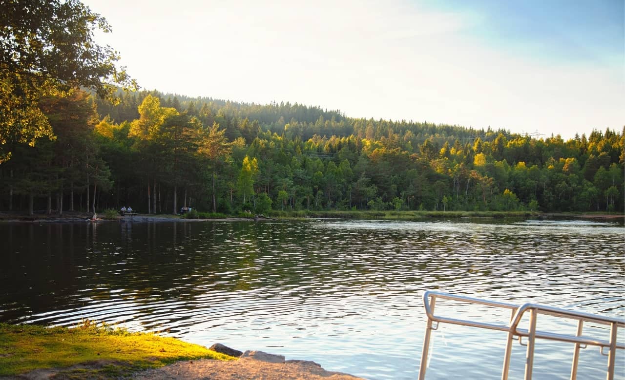 5 Boondocking Locations and Free Campsites in Michigan