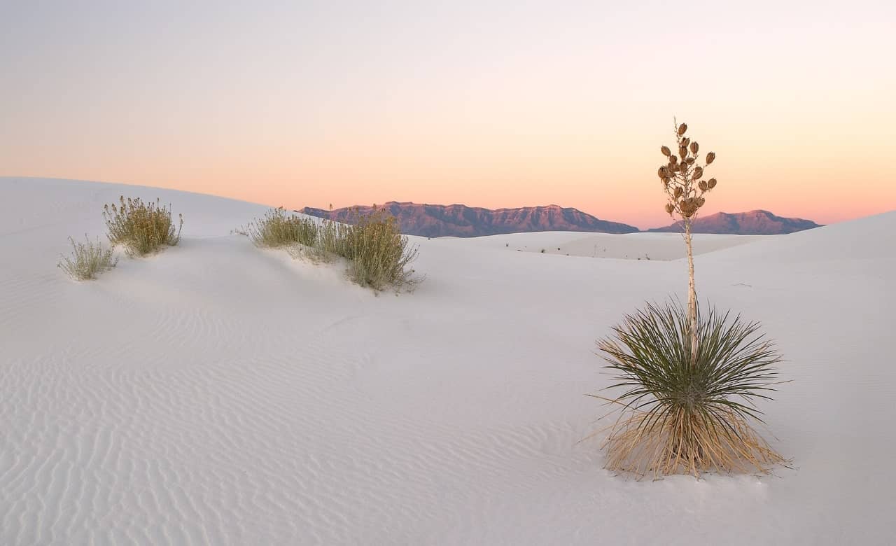 5 Boondocking Locations and Free Campsites in New Mexico