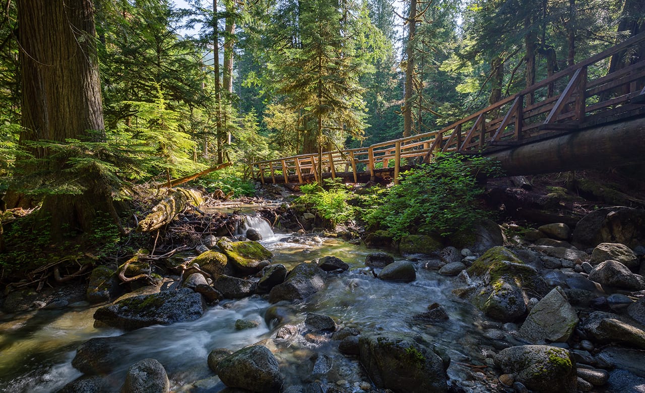 Buy an RV in Washington State
