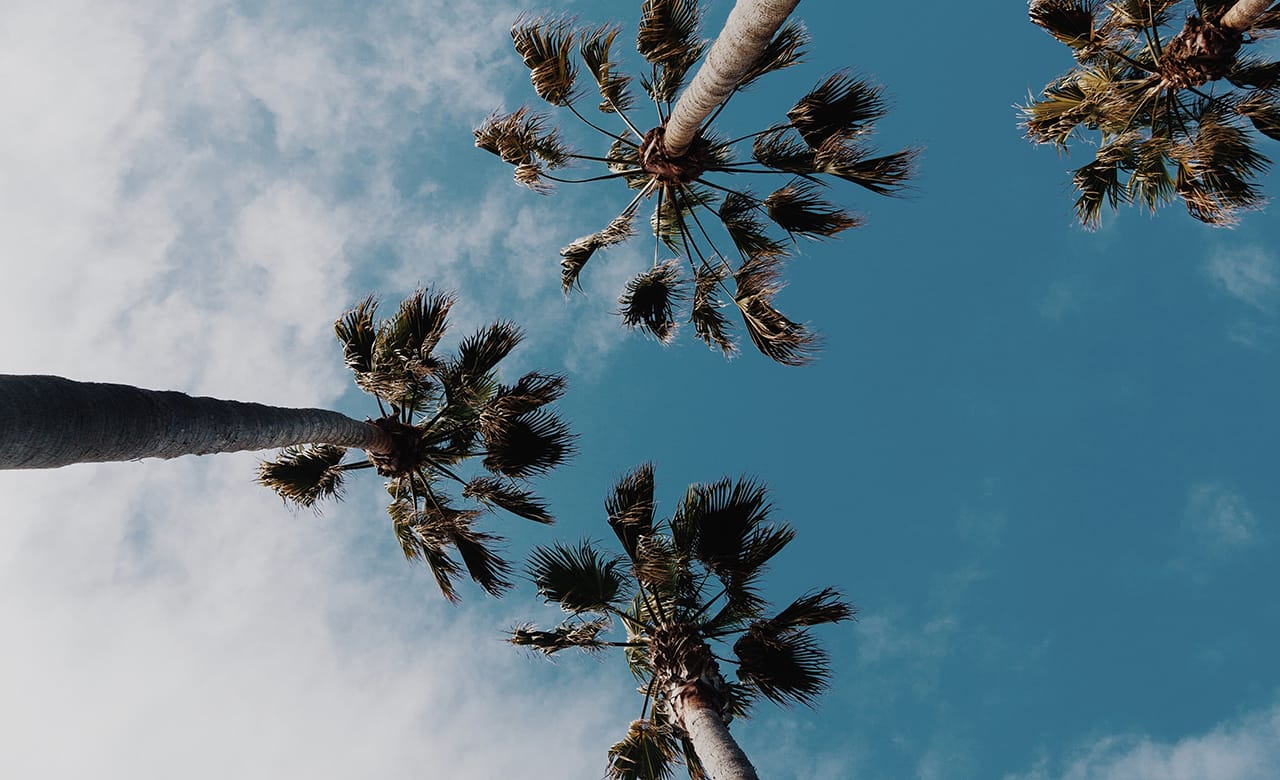 RV Sales Orlando - Florida is your Playground