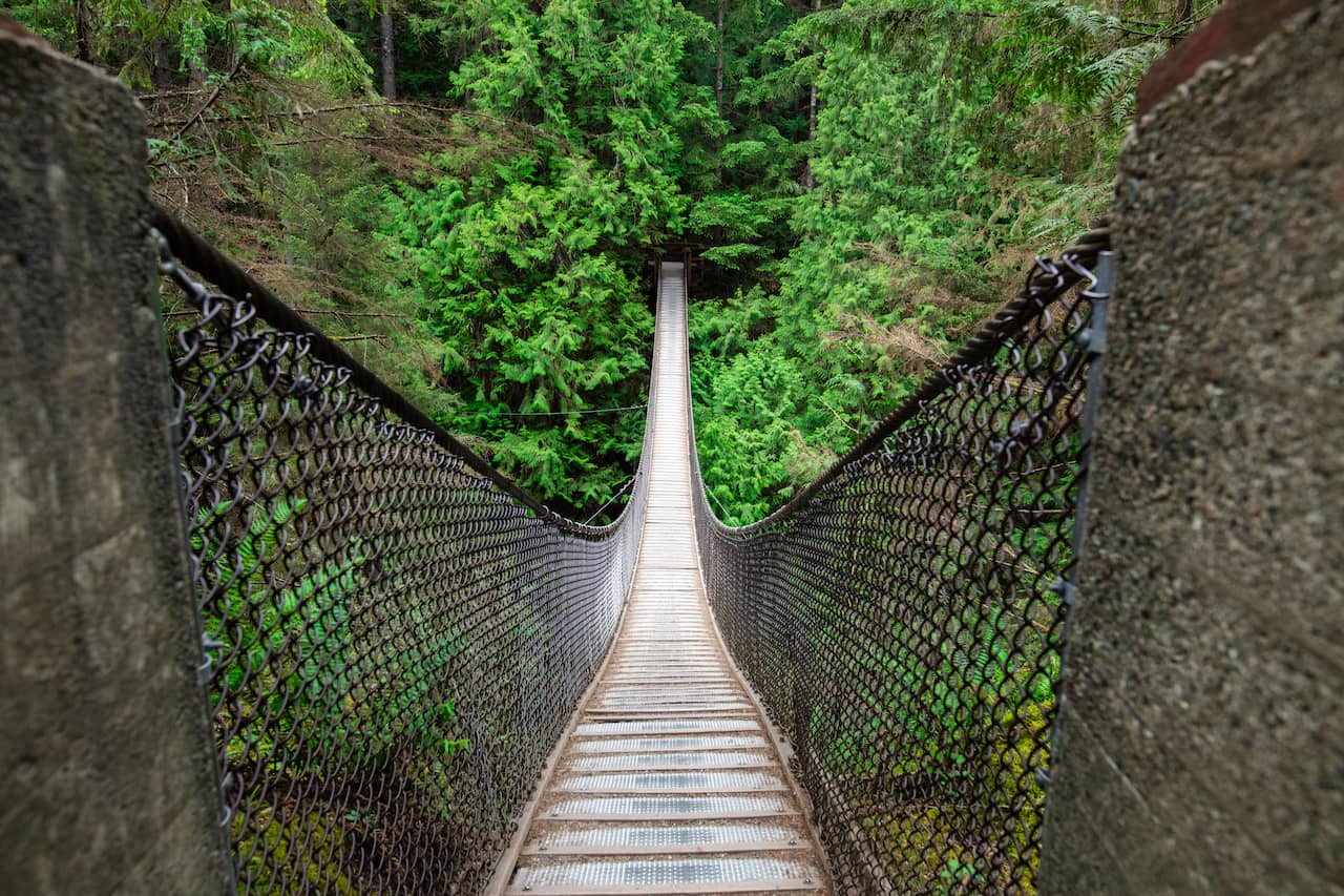 Magnificent Pacific Northwest Hikes for Nature Lovers