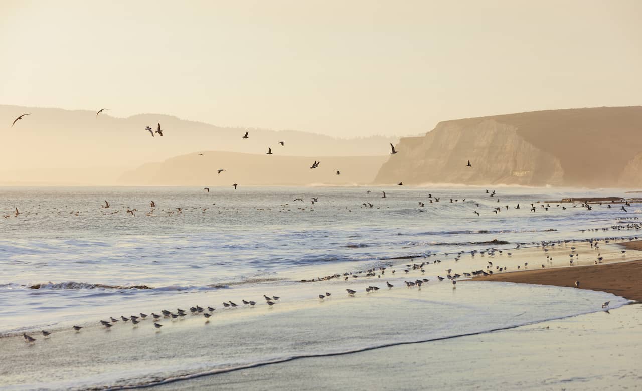 The Outdoor Lover's Northern California Bucket List